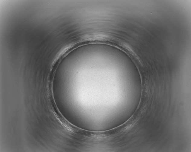 X0000064740978200602241750