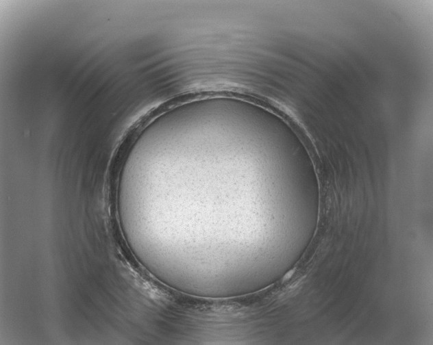 X0000064740979200602241750