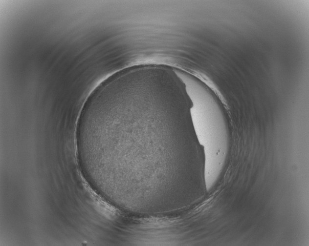 X0000064740980200602241750