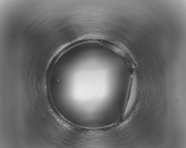 X0000064740981200602241750