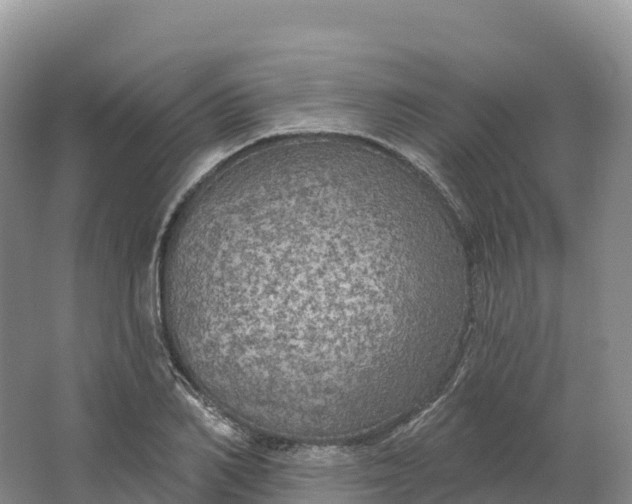 X0000064740982200602241750