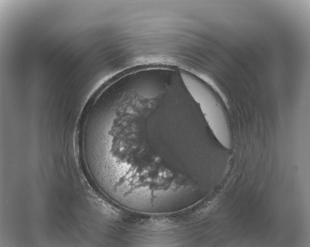 X0000064740983200602241750