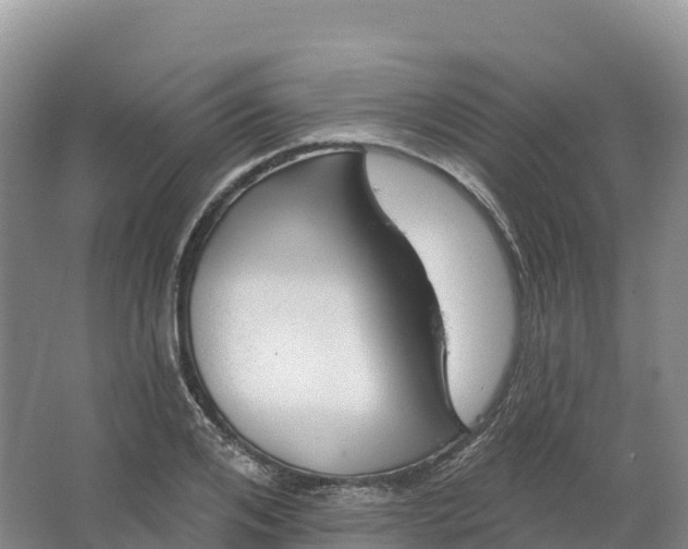 X0000064740984200602241750