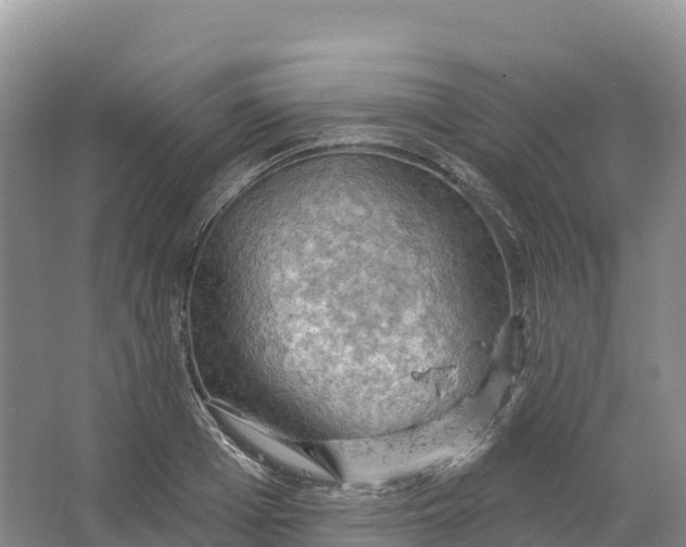 X0000064740985200602241750