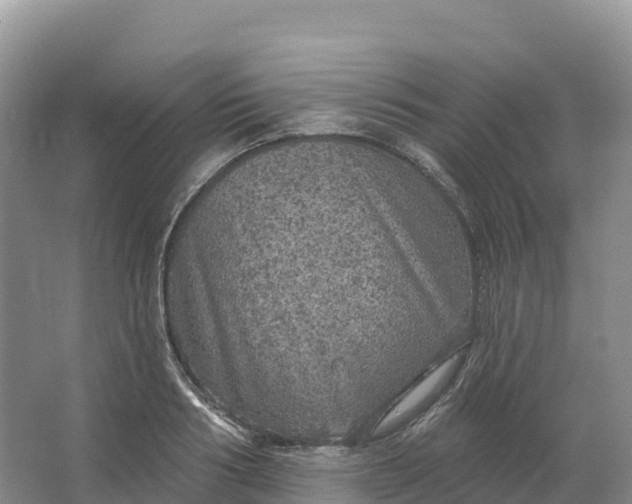 X0000064740986200602241750