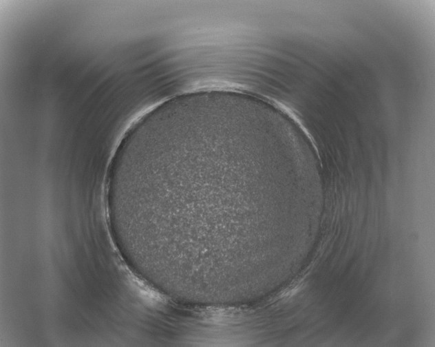 X0000064740987200602241750