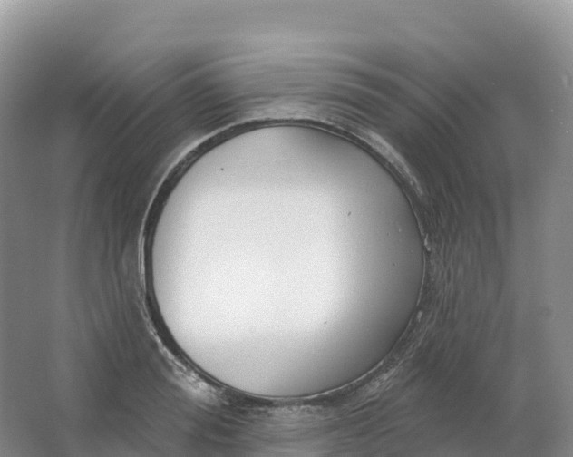 X0000064740988200602241750