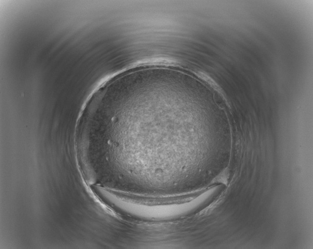 X0000064740989200602241750