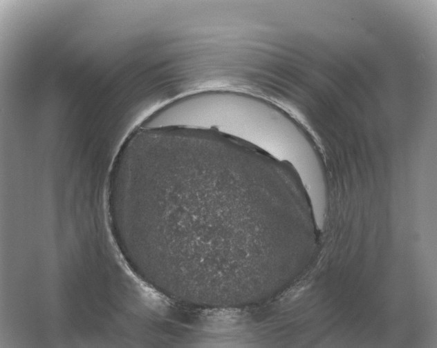 X0000064740991200602241750