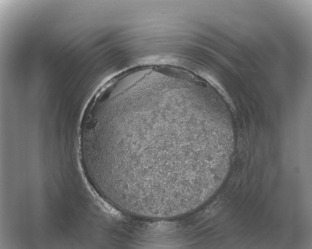 X0000064740992200602241750