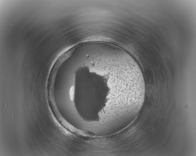 X0000064740995200602241750