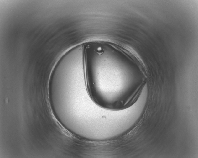 X0000064740996200602241750