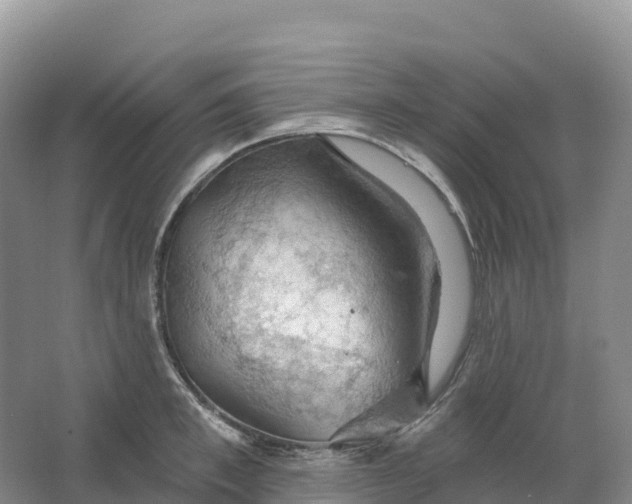 X0000064740997200602241750