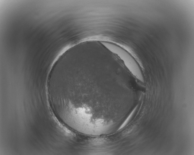 X0000064740998200602241750