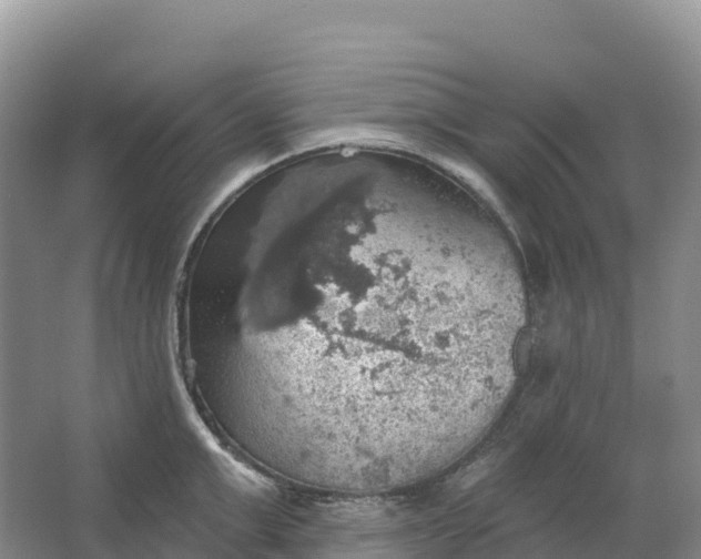 X0000064740999200602241750