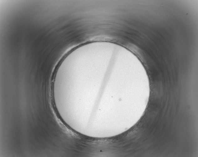 X0000064741000200602241750