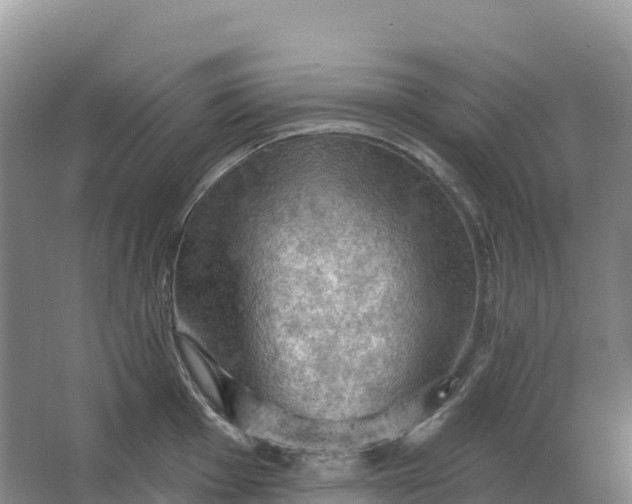 X0000064741001200602241750