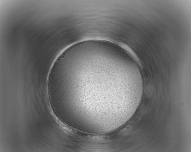 X0000064741004200602241750