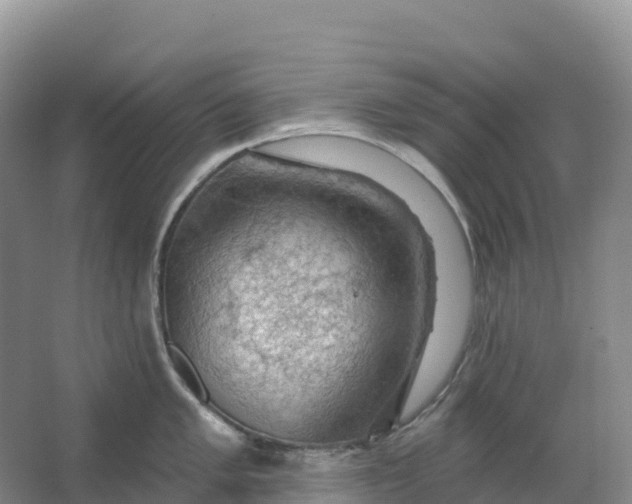 X0000064741005200602241750