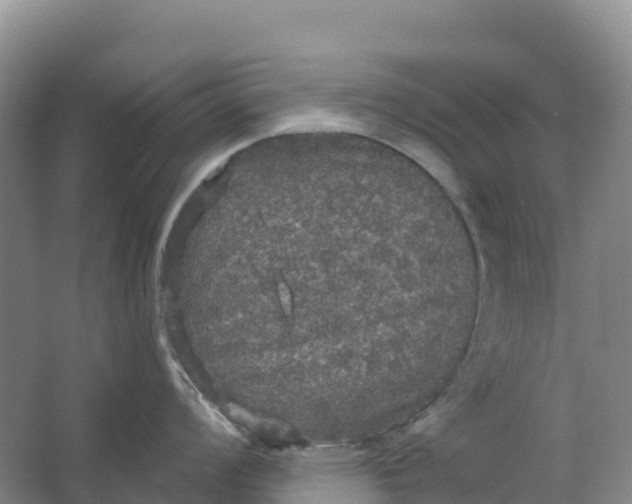 X0000064741008200602241750