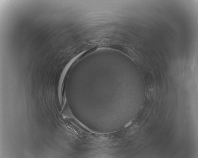 X0000064741010200602241748