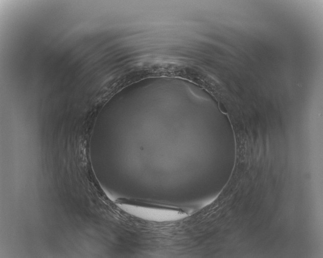 X0000064741013200602241749