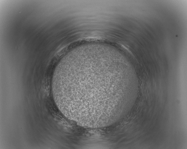 X0000064741015200602241749