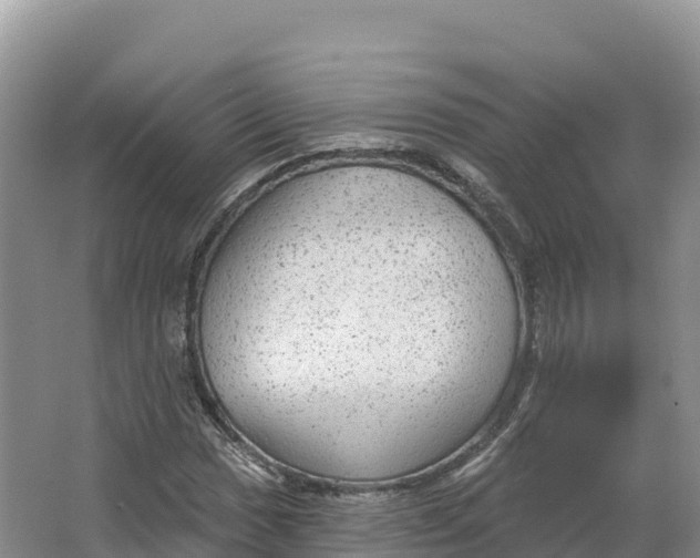 X0000064741017200602241749