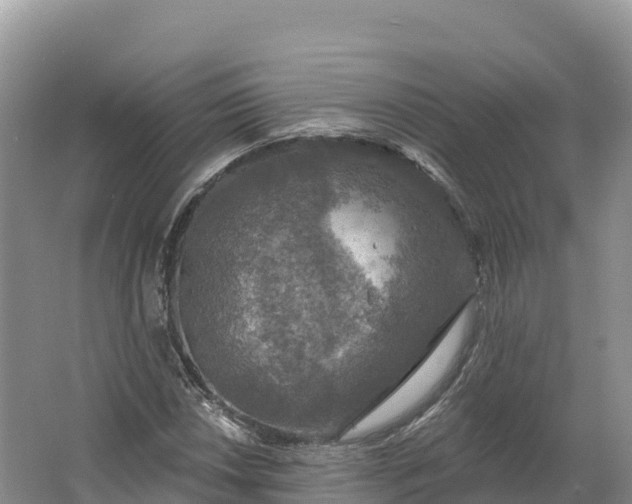 X0000064741018200602241749