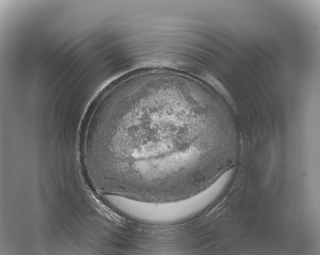 X0000064741020200602241749