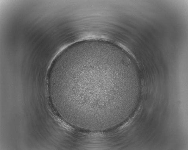 X0000064741021200602241749