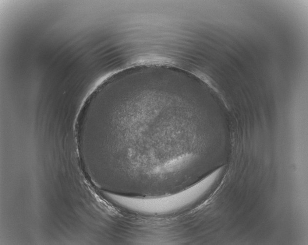 X0000064741022200602241749