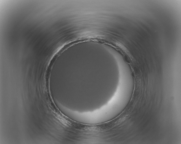 X0000064741023200602241749