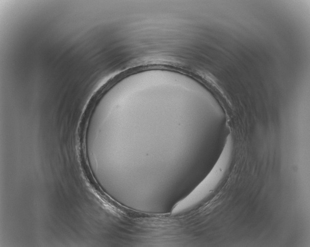 X0000064741024200602241749