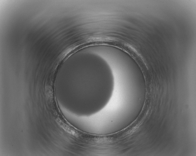 X0000064741025200602241749