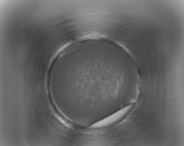 X0000064741026200602241749