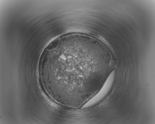 X0000064741028200602241749