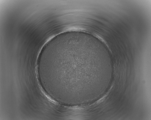 X0000064741029200602241749