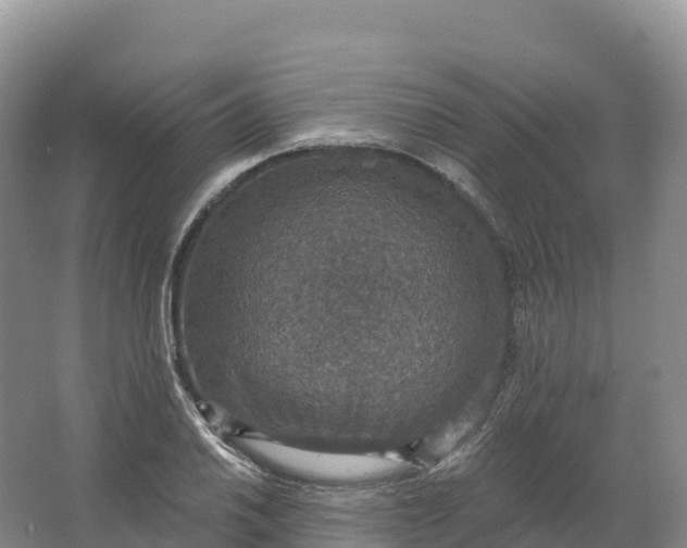 X0000064741030200602241749