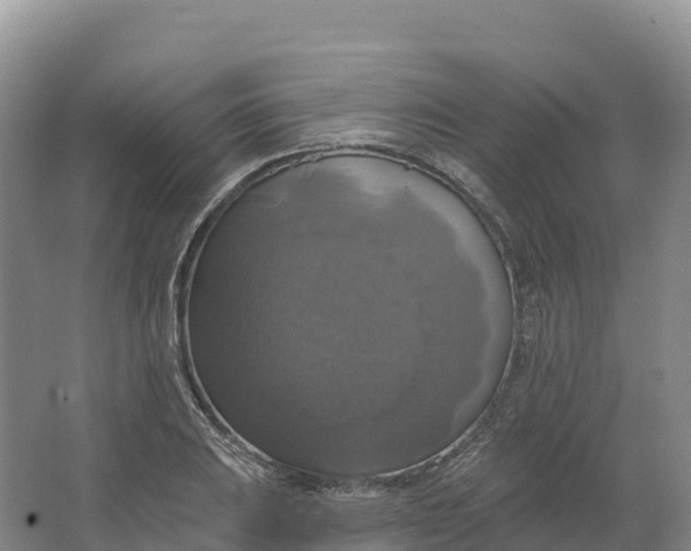 X0000064741031200602241749