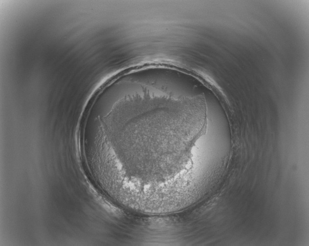 X0000064741032200602241749