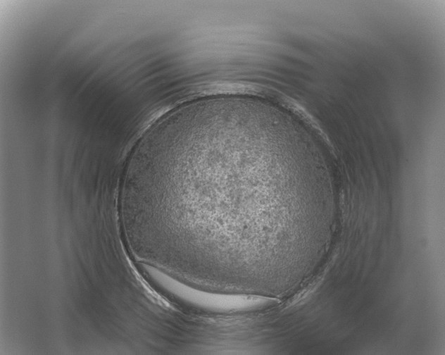 X0000064741033200602241749