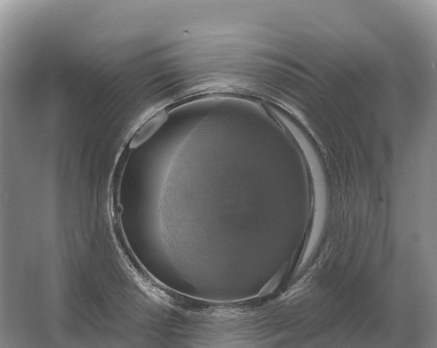 X0000064741034200602241749