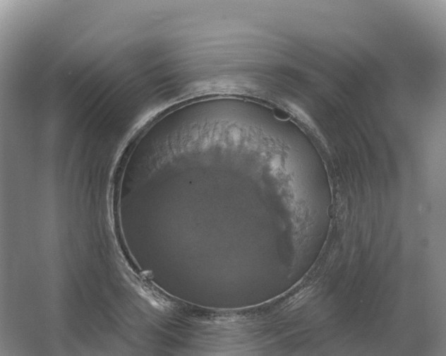 X0000064741035200602241749