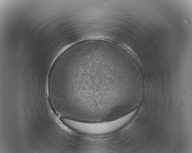 X0000064741036200602241749