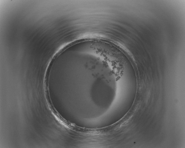 X0000064741037200602241749