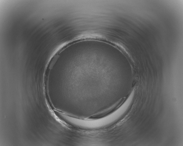 X0000064741038200602241749