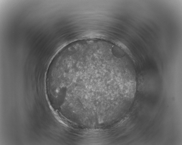 X0000064741039200602241749