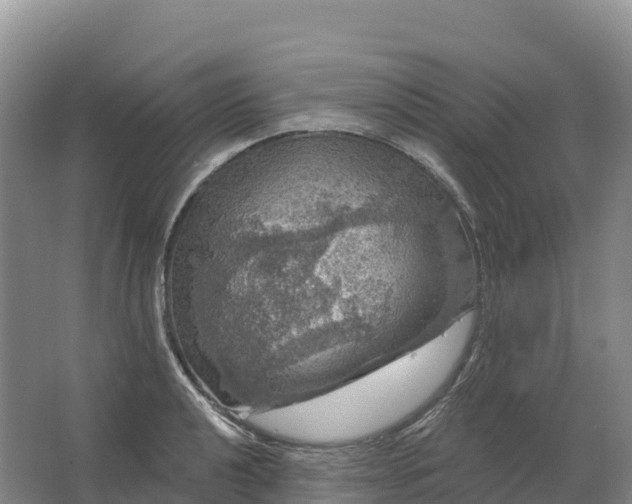 X0000064741040200602241749