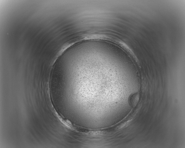 X0000064741041200602241749